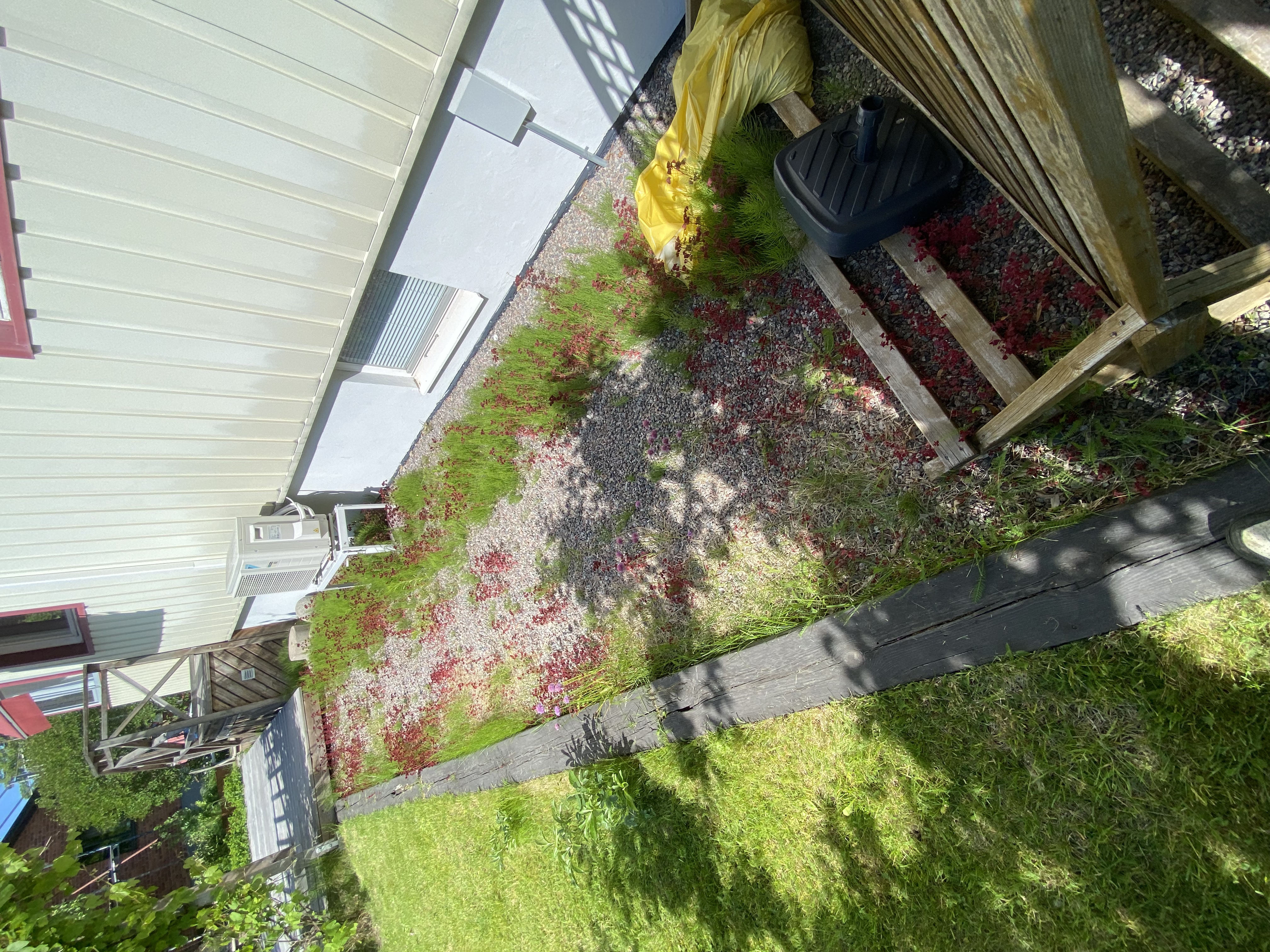 Before